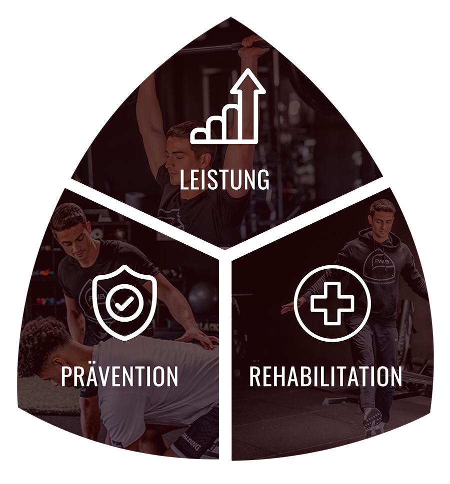 PHNO-Infographic-16